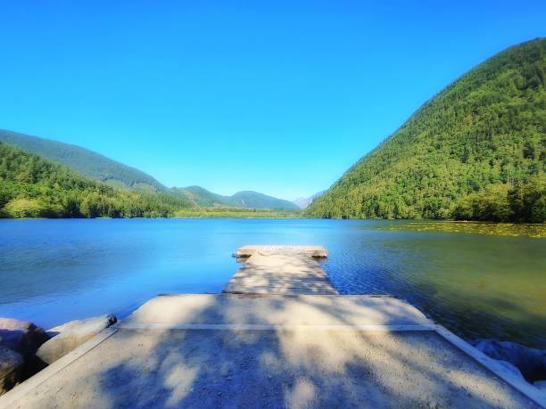 istock deer lake sasquatch provincial park 1957728835