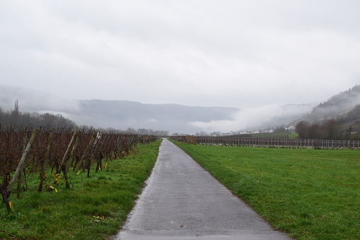 fog in Mosel valley