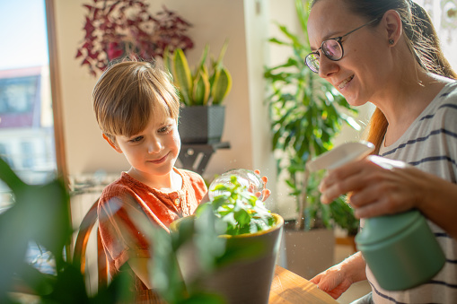 Family with houseplants at home in springtime.