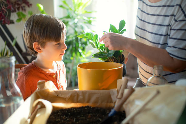 istock Family planting at home in springtime 1957800752