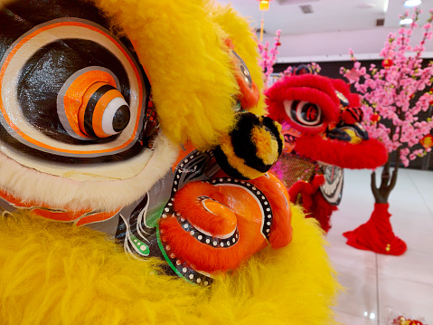 Lion Dance during Chinese New Year
