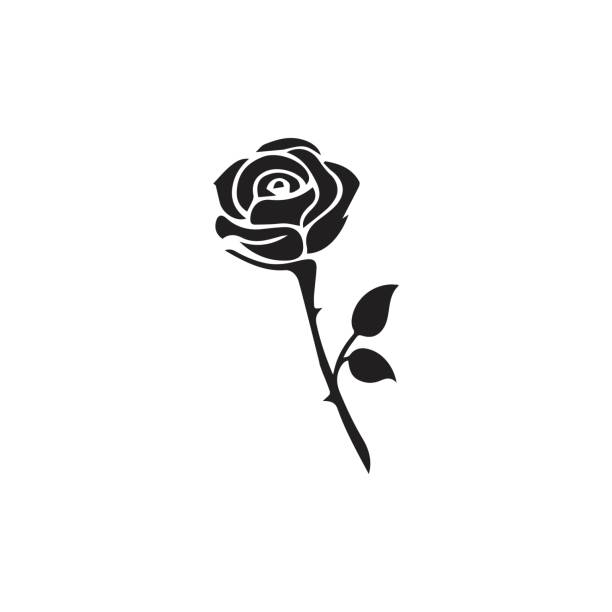 rose icon illustration with leaves - róża stock illustrations