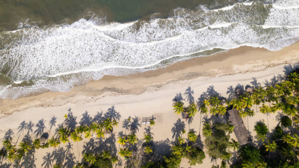 istock Tropical Beach Aerial View with Palm Trees 1957895647