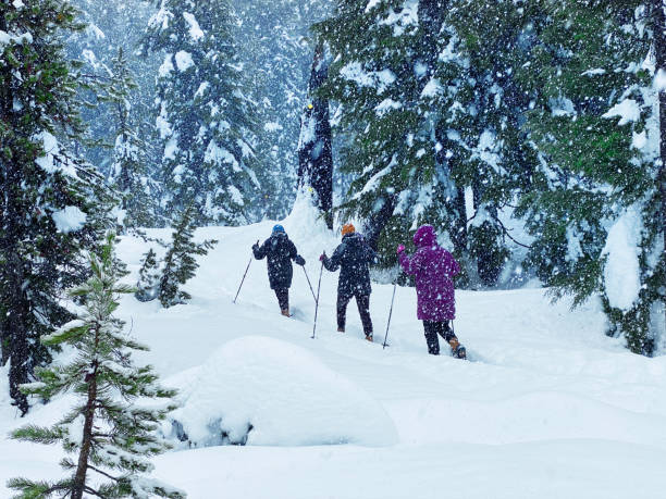 Snoeshoeing Through A Snowstorm