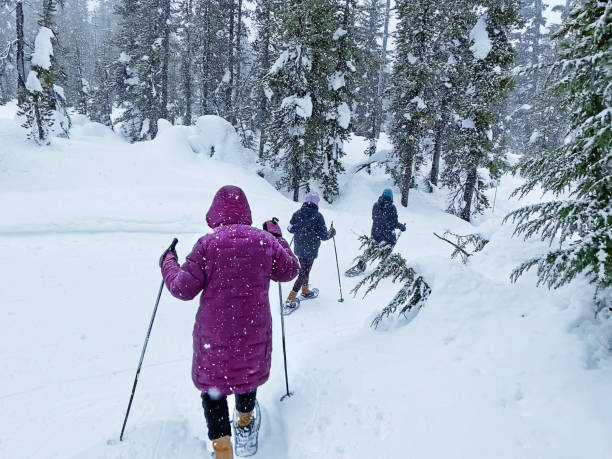 istock Snoeshoeing Through A Snowstorm 1957938941