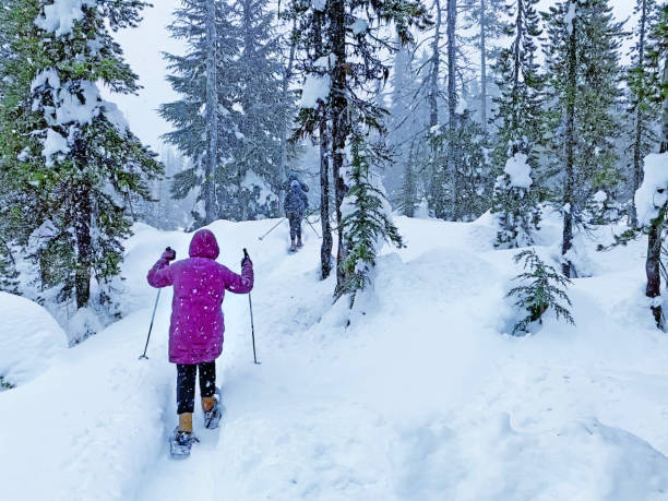 istock Snoeshoeing Through A Snowstorm 1957938942