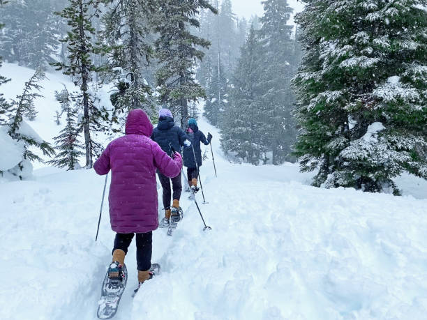 istock Snoeshoeing Through A Snowstorm 1957938945