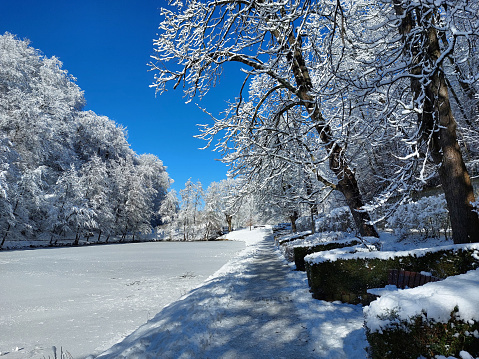 frozen park under white snow. Wintertime. Maribor.  Slovenia