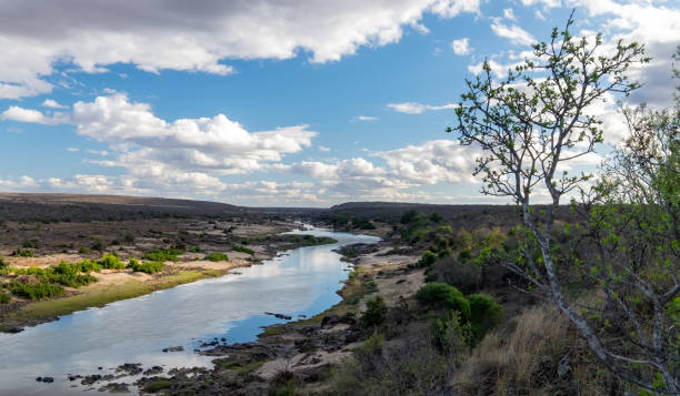 istock Olifants river, Kruger National park 1957944456