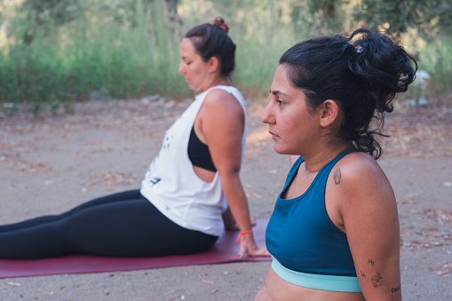 Under the golden embrace of a summer morning, two young women find tranquility amidst olive trees as they engage in yoga and meditation. Harnessing the energy of nature, they embark on a journey of mindfulness and well-being