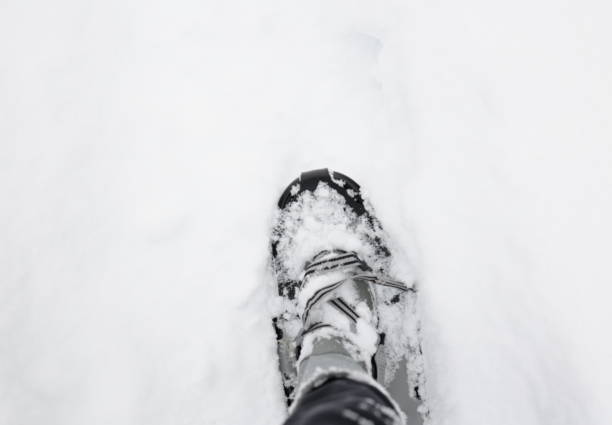 Personal view of a snowshoe after a January snowstorm in Metro Vancouver. The lace has come undone.