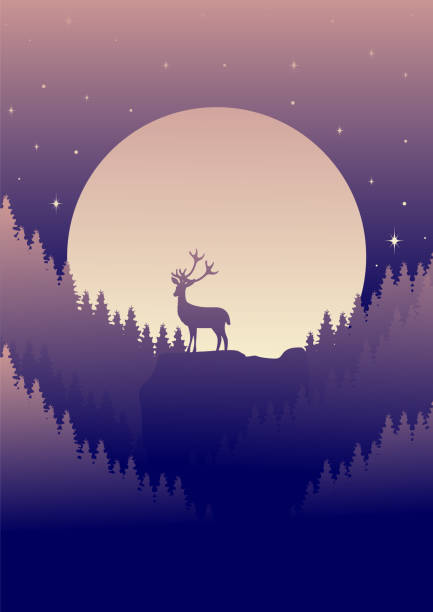 istock Silhouette of deer standing on the cliff in night forest. Magical misty landscape, full moon with stars 1957994596