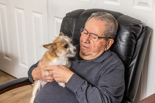 Senior man relaxing at home in a recliner chair with a young mixed breed puppy  in his living room.