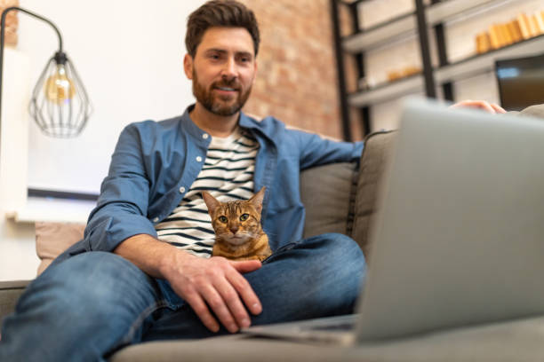 istock Young man working at home, his cat lying near home 1958113598