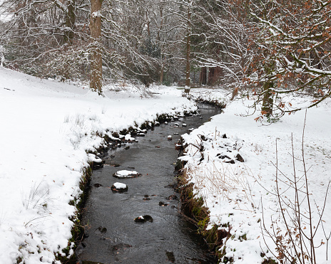 Stream flowing through a wintry woodland.