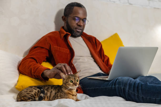 istock African american man working on laptop, his cat lying next to him 1958115270