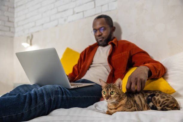 istock Dark-skinned man working on laptop and stroking his cat 1958115711