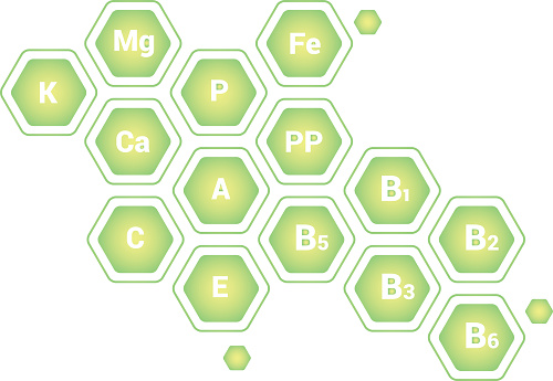 Pictograms of vitamins and elements in honeycomb-shaped set on white background for design on the theme of plant growing, ecology