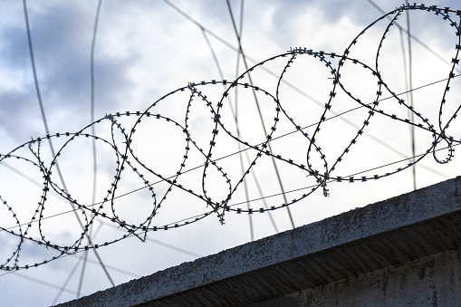 Round barbed wire with flat spikes above a concrete wall against a frowning sky: a simile of martial law, borders, imprisonment, restriction of freedoms.