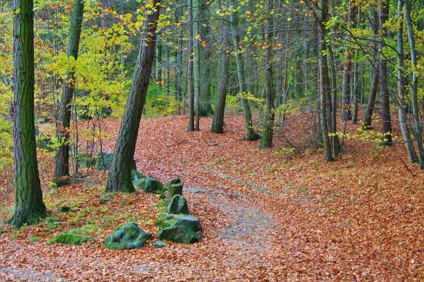 istock Autumn View of Bergpark in Kassel 1958151109