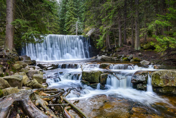 istock Waterfall in the middle of forest 1958155747