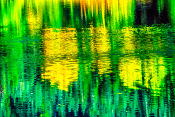Autumn Fall Colors Green Yellow Reflection Abstract  Background Gold Lake Wenatchee National Forest Snoqualme Pass Washington