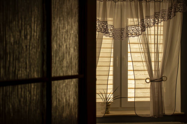 istock Modern day-night blinds on a room window from an indoor perspective. 1958180424