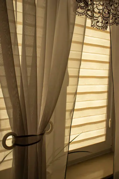 Day-night blinds in a cozy indoor room, near the window.