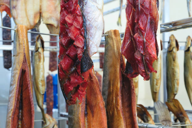 istock Smoking Process Fish. Fish processing smoking. Mackerel Fish smoked in smokehouse. Smoking Process Fish. banner, menu, recipe place for text. 1958229296