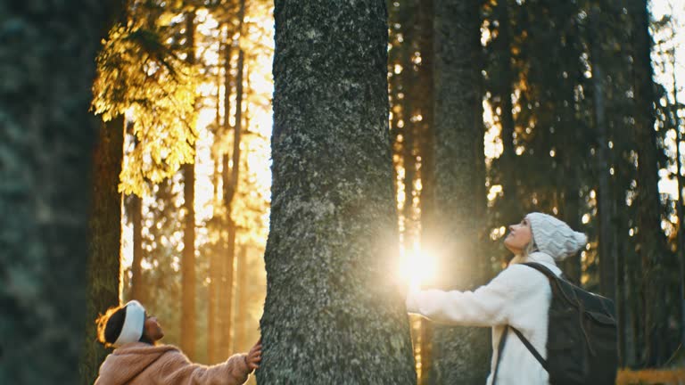 SLOW MOTION Young Women Hiking Among Trees In Sunny Autumn Forest