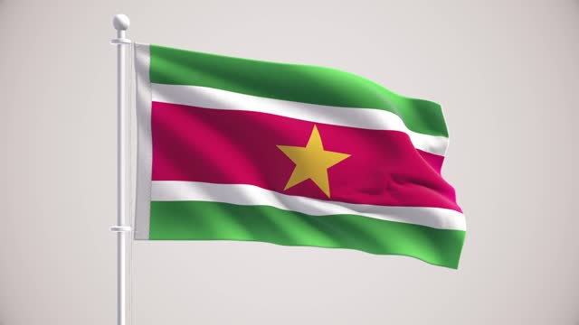 Flag of Suriname + Alpha Channel