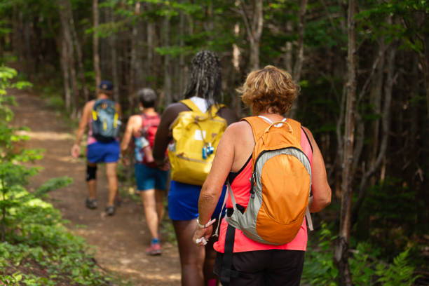 istock Hiking in Forest in Family 1958283201