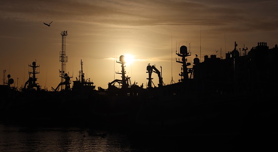 Silhouettes of fishing boat masts