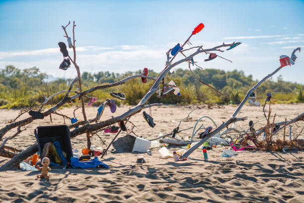 Plastic garbage washed ashore hanging on big branch lying on sandy beach, marine plastic pollution
