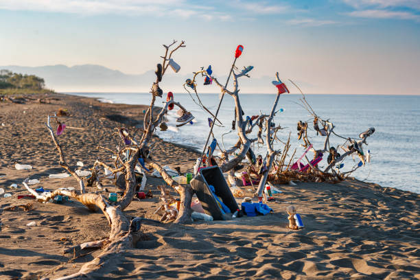 Branch lying on sandy beach by the sea with plastic waste hanging on it, marine plastic pollution