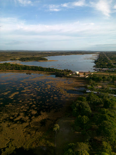 istock Tambaquis Lagoon in Sergipe 1958305281