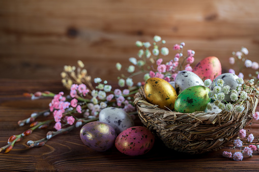 Easter background or greeting card with painted eggs in a bird's nest and small beautiful flowers gypsophila around a nest. Easter composition with Easter eggs in a bird's nest on the wooden background. Copy space for text.