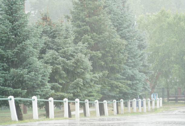 parking lot in the heavy rain in summer thunderstorm