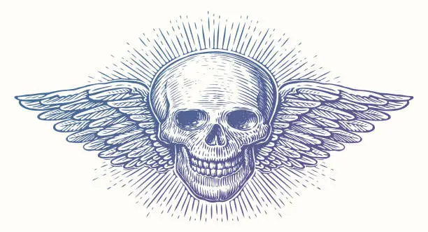 Vector illustration of Human skull with wings. Winged skeleton head. Hand drawn sketch vintage vector illustration