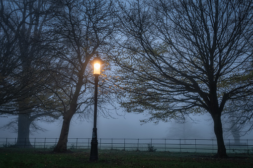 Single vintage street lamp illuminating trees in the thick fog in Farmleigh Phoenix Park, moody atmospheric evening, Dublin, Ireland