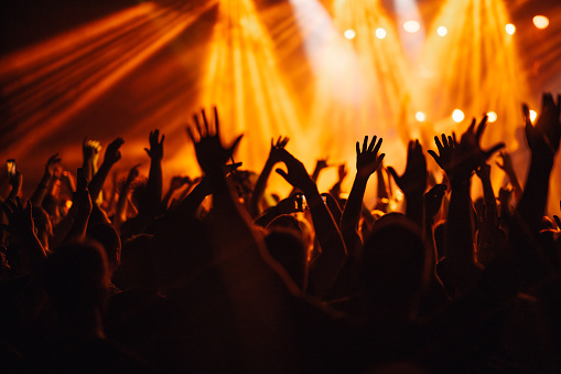 Cheering disco DJ performing with arm raised at concert music festival