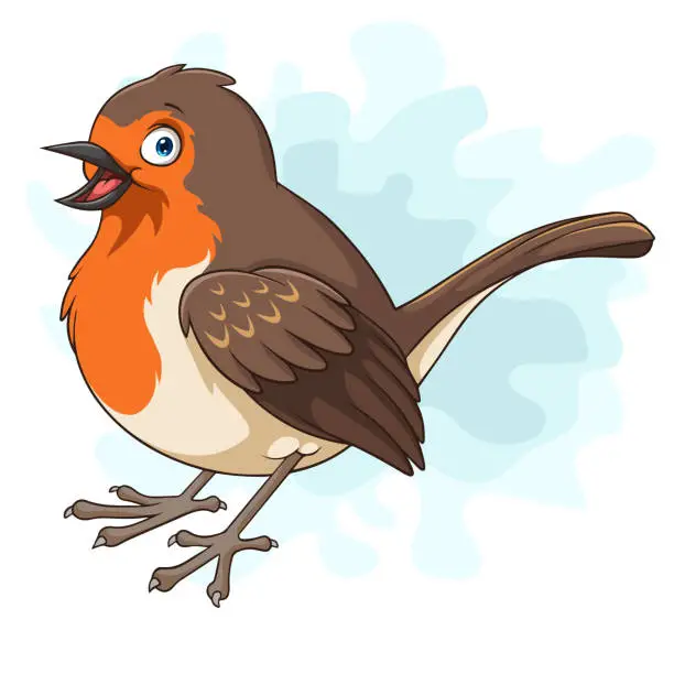 Vector illustration of Cartoon robin bird on white background