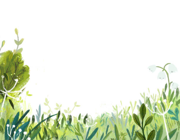 istock cartoon scene with magicaly looking meadow in the forest in sunny day illustration for children 1958403243