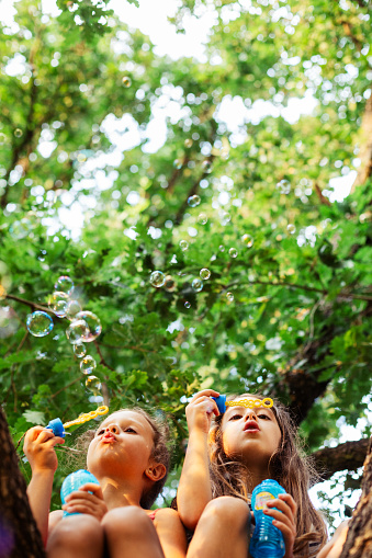 Low angle view of two girls sitting on a tree and blowing bubbles in the yard