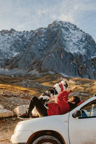 istock Young Man and Border Collie on SUV Adventure 1958496540