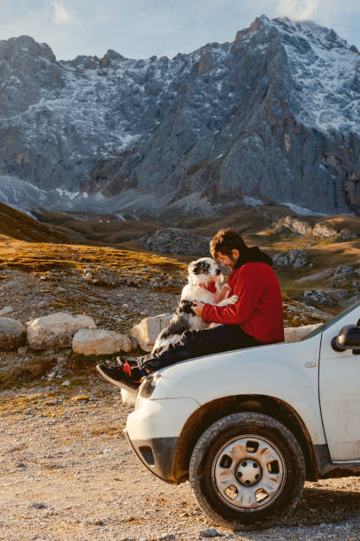 istock Young Explorer and Border Collie atop the SUV 4x4. 1958496541