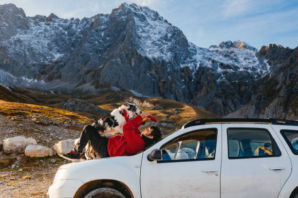 istock Young Man and His Border Collie on the 4x4 SUV 1958496542