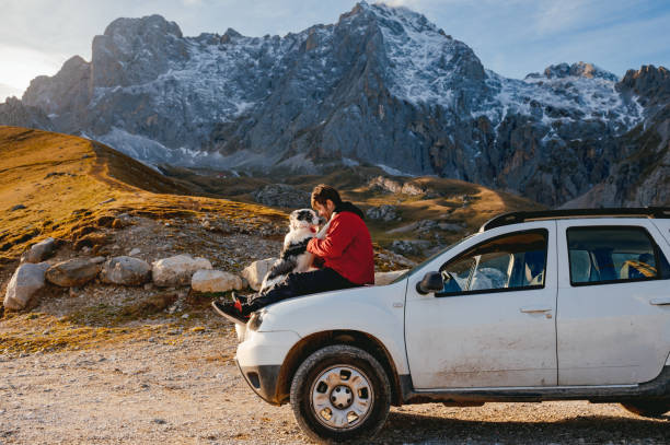Guy and Border Collie Resting on the SUV Cap