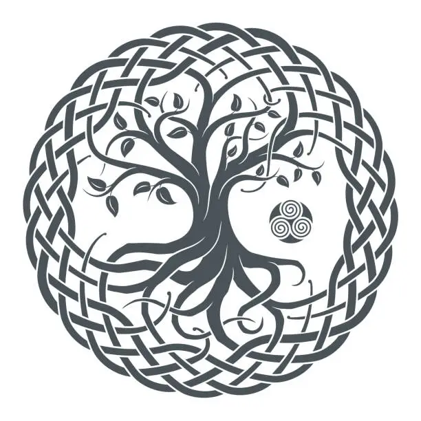 Vector illustration of Celtic tree of life, tribal print, braided knots.