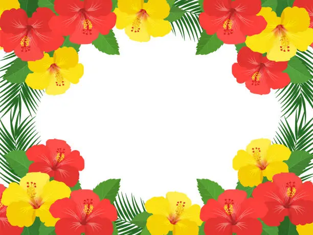 Vector illustration of Frame with hibiscus and palm leaves